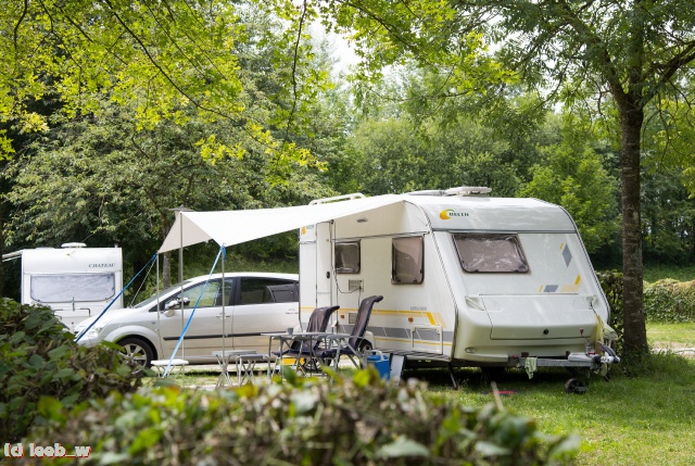 Ein Platz im Schatten